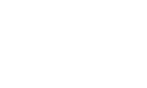 デンドロビューム交配種