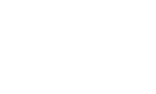 デンドロビューム原種